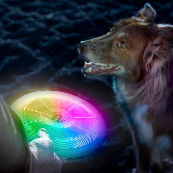 DISCO FRISBEE - DISCO MASCOTA CON LUZ LED INCORPORADA 4/5