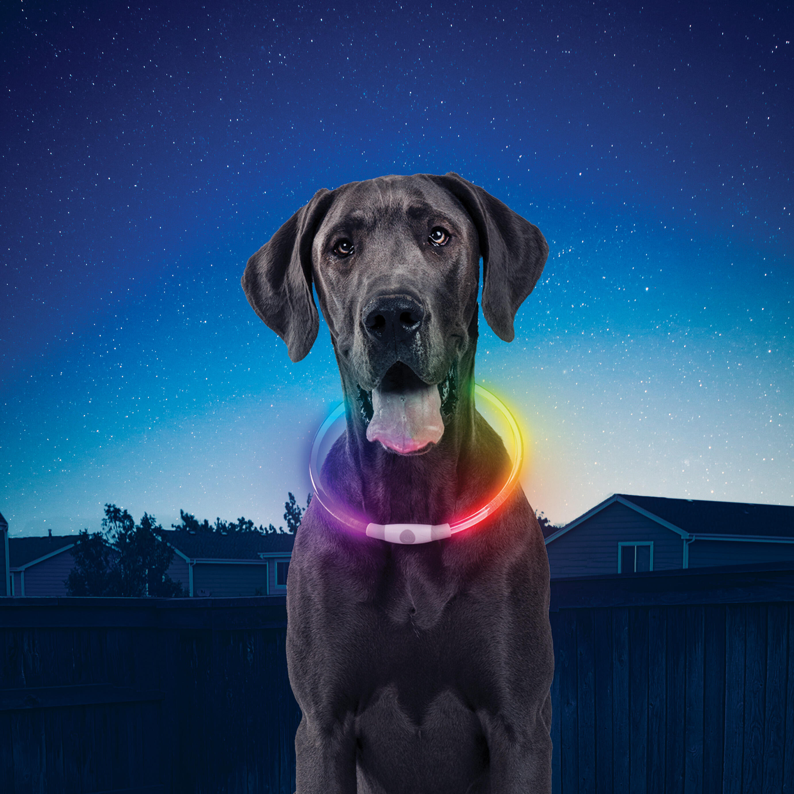COLLAR NITEHOWL RECARGABLE- COLLAR LED PERRO RECARGABLE- MULTICOLOR 2/5