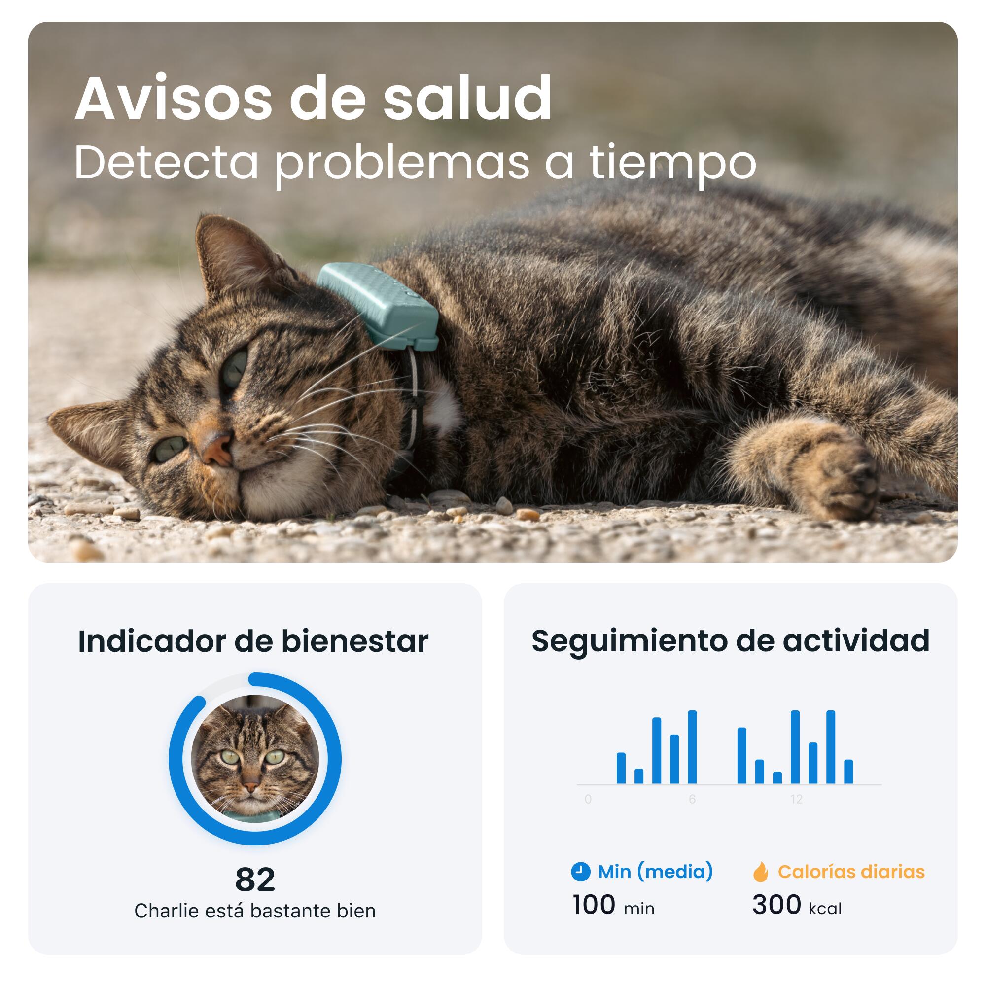 Localizador para gatos con Seguimiento de Actividad - Menta 4/7