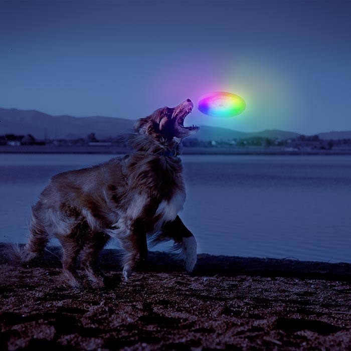 DISCO FRISBEE - DISCO MASCOTA CON LUZ LED INCORPORADA 3/5