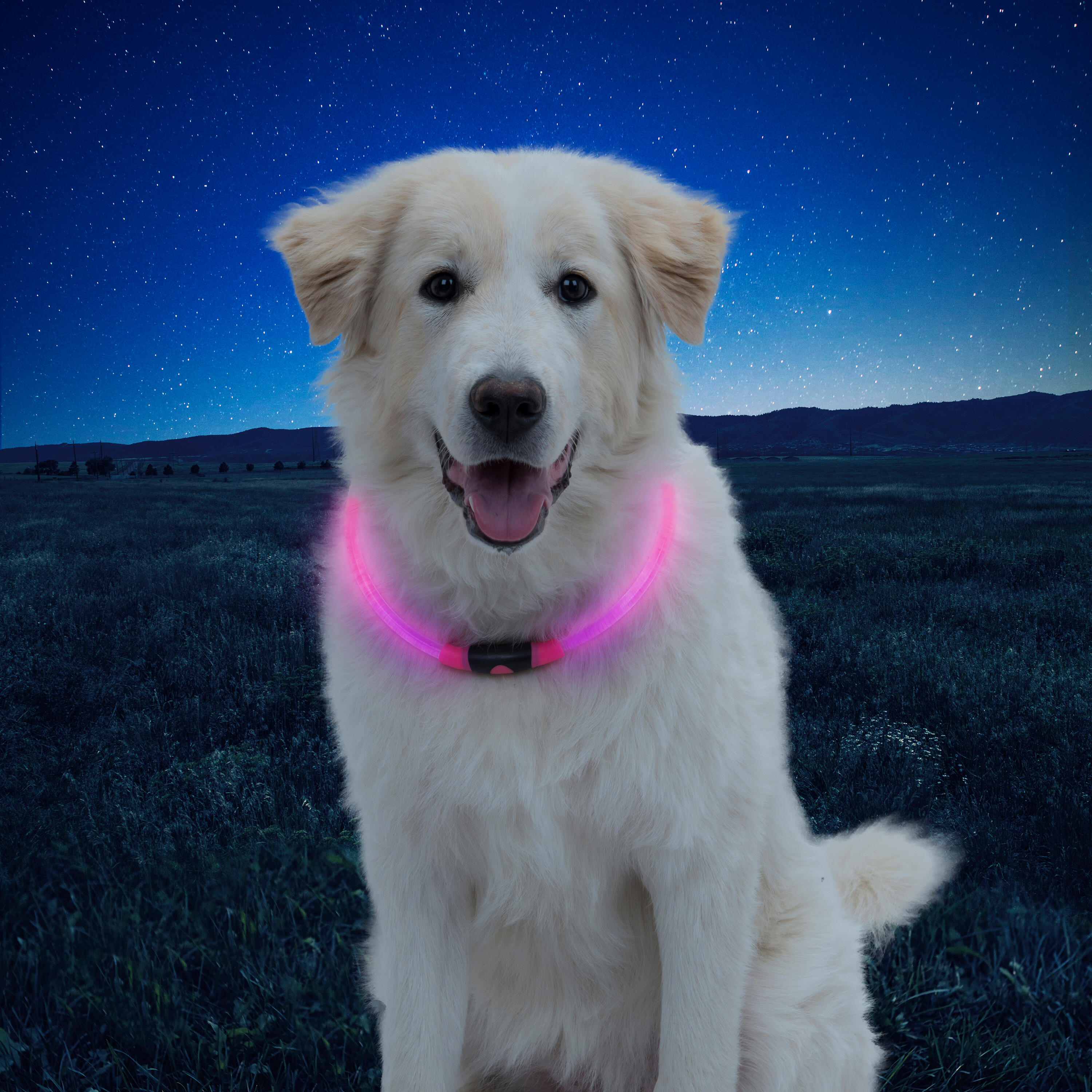 COLLAR NITEHOWL- COLLAR LED PERRO AJUSTABLE - ROSA 2/4
