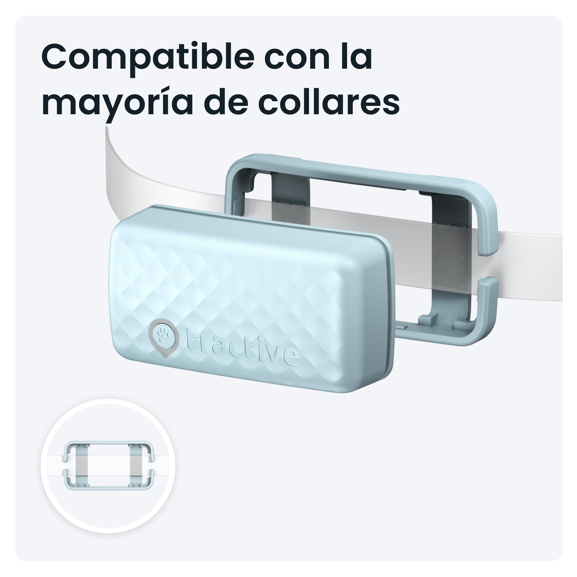 Localizador para gatos con Seguimiento de Actividad - Menta 7/7