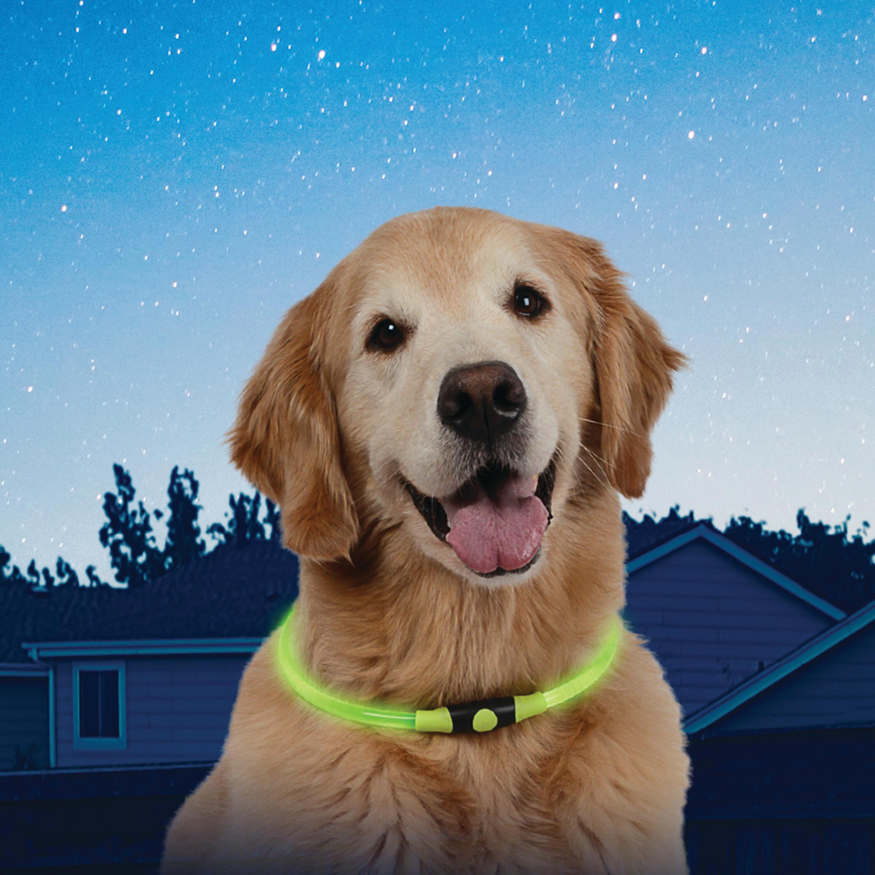 NITEHOWL COLLAR- COLLAR LED RECARGABLE PERRO AJUSTABLE - VERDE 2/4