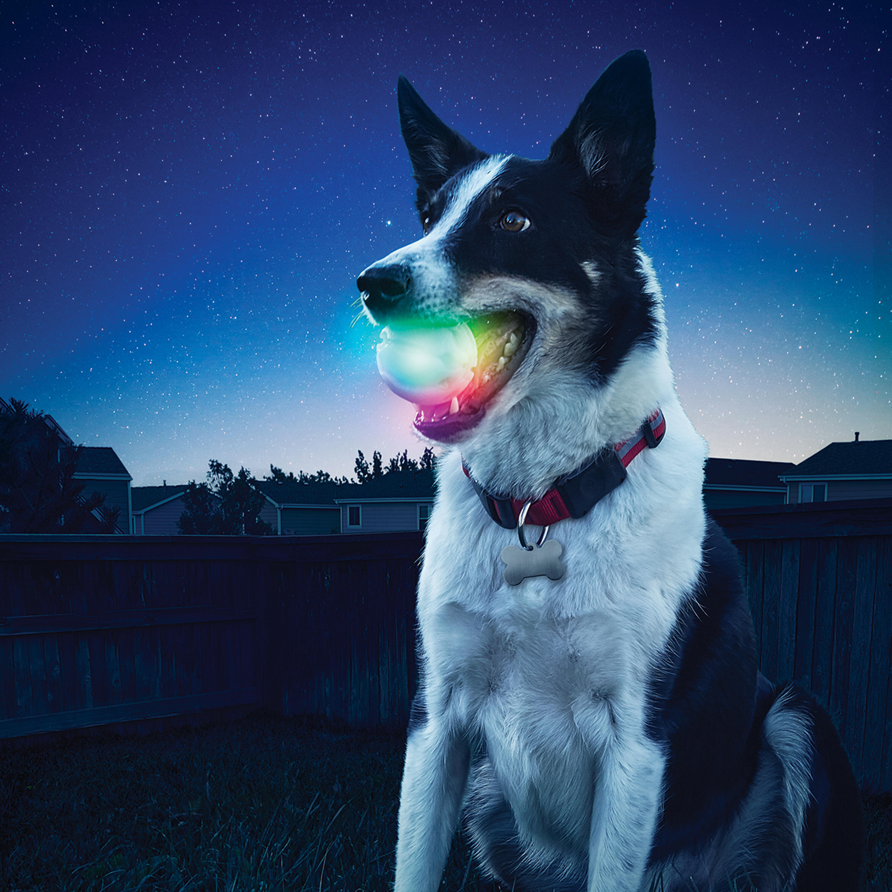PELOTA GLOWSTREAK - PELOTA MASCOTA CON LUZ LED INCORPORADA 2/2