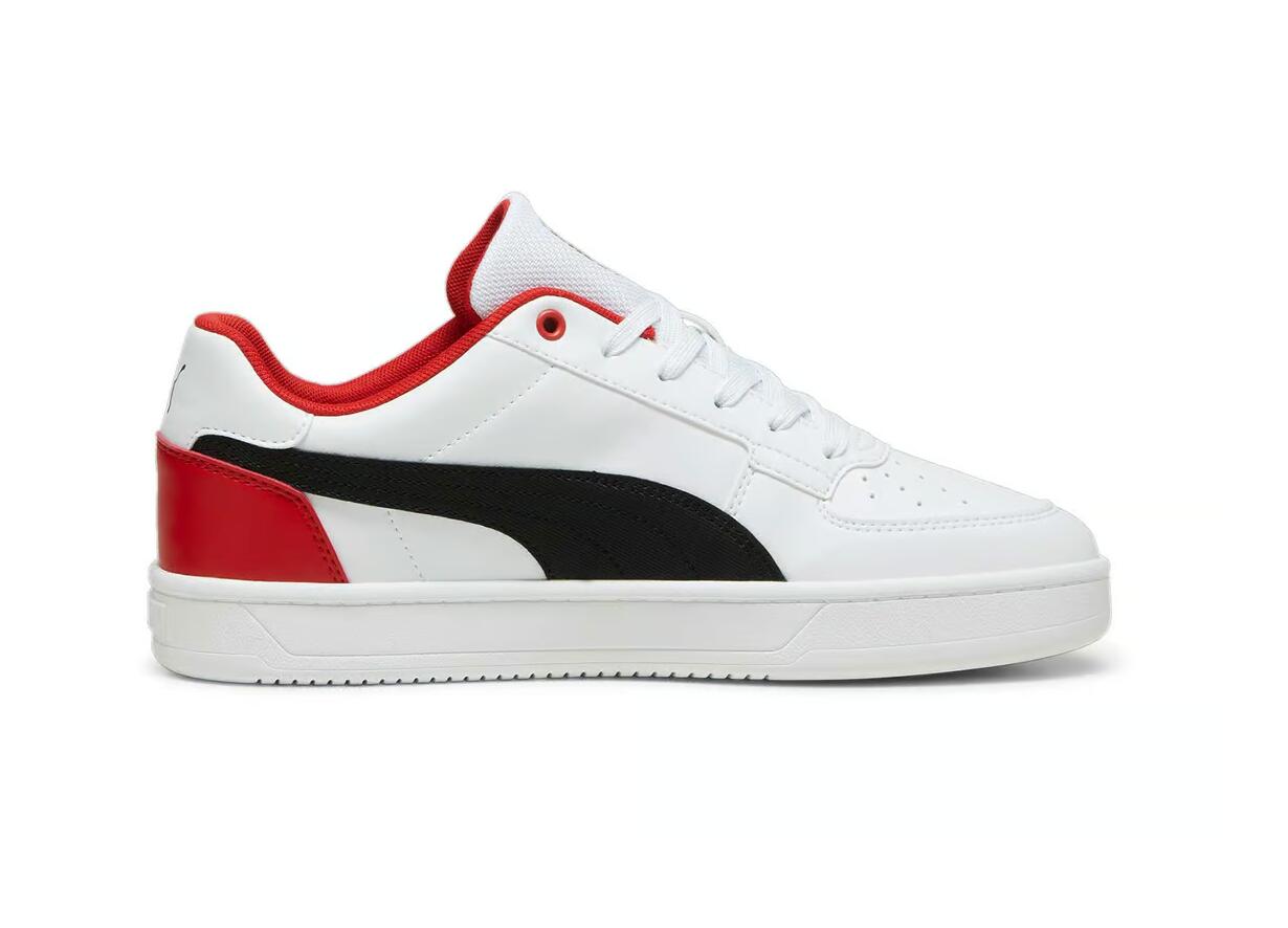 PUMA picture