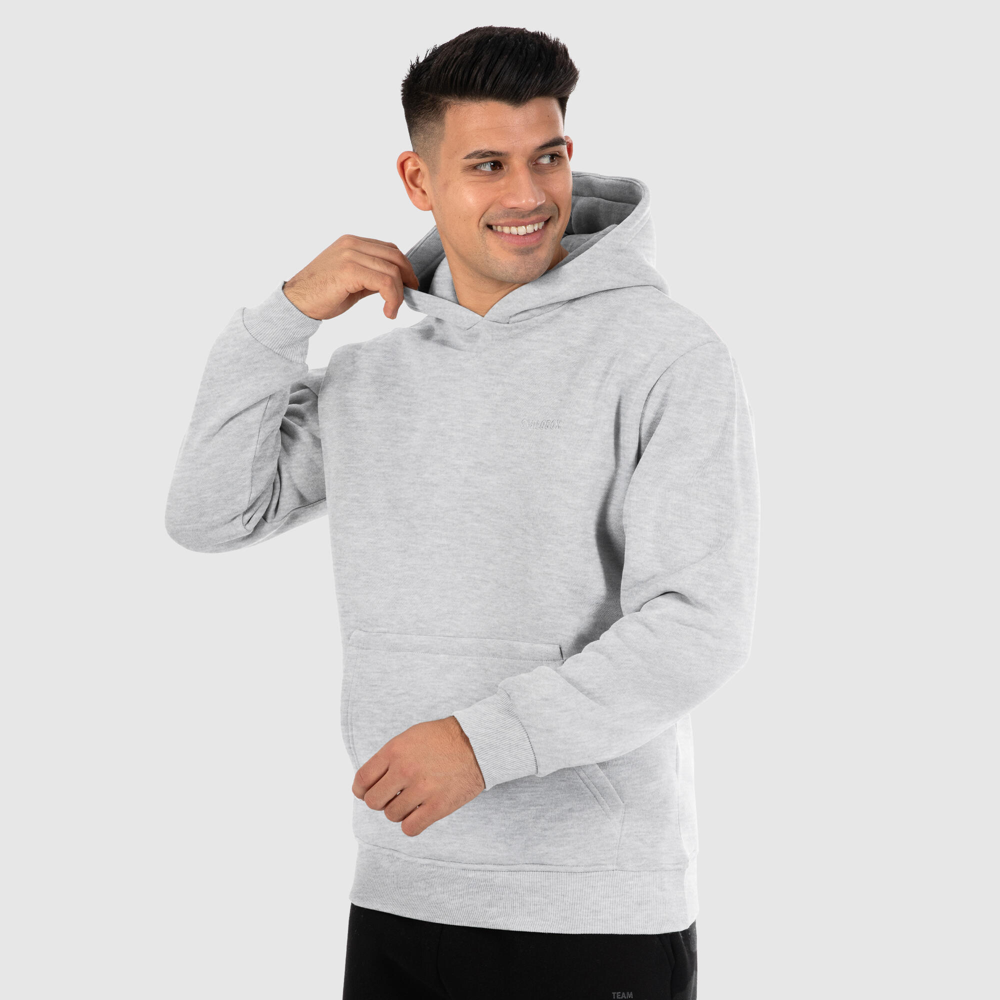 Herren Hoodie Ren Grau Melange 2/6