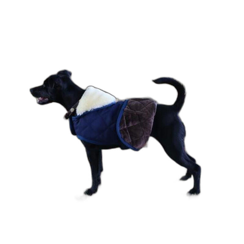 Cappotto per cane Kentucky Original 160g 2/7