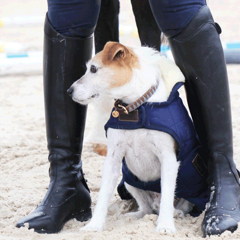 Cappotto per cane Kentucky Original 160g 3/7