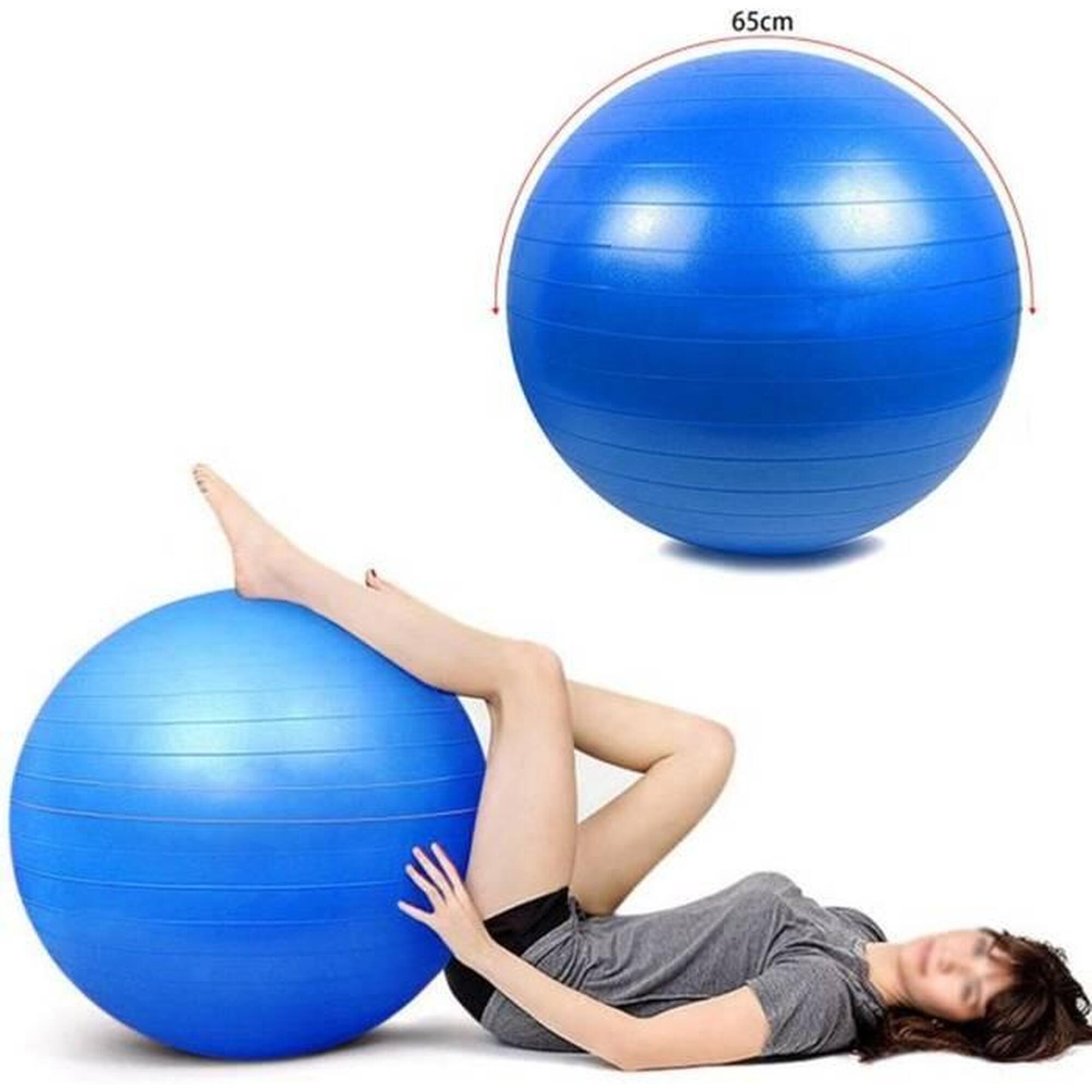 Minge de aerobic pentru sala 65cm DY-GB-070-65
