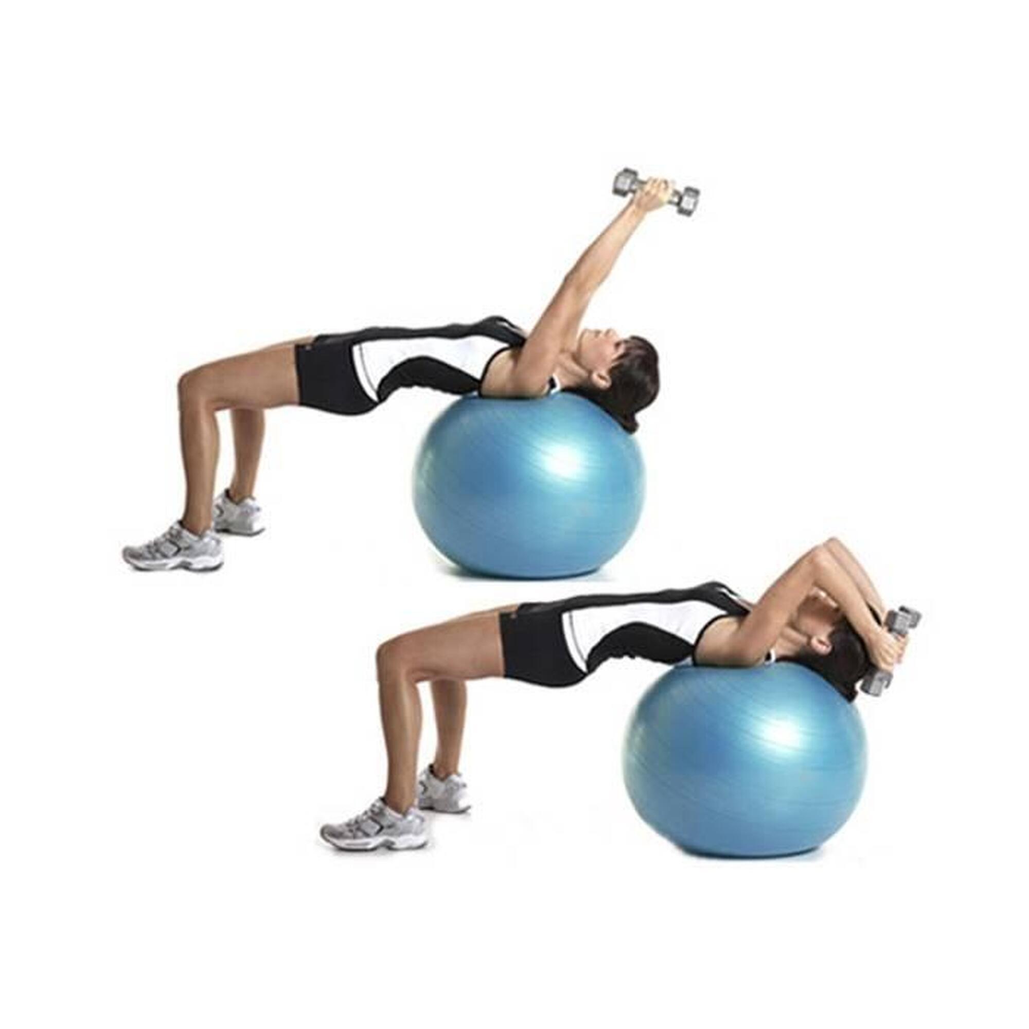 Minge de aerobic pentru sala 65cm DY-GB-070-65