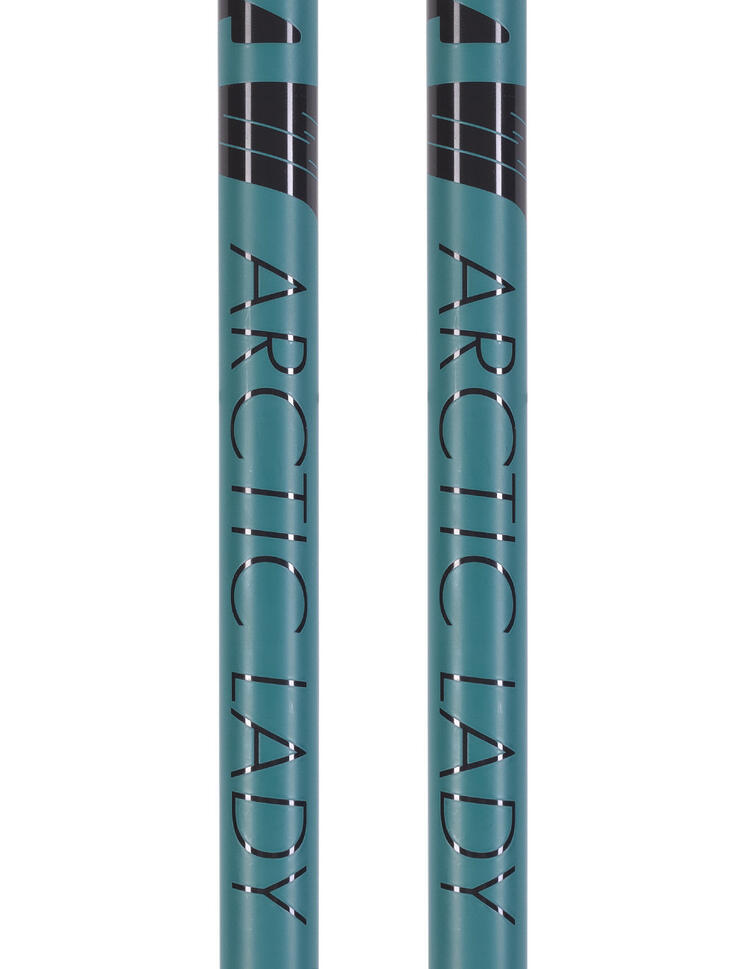 Kije narciarskie Salomon ARCTIC Lady grey/green