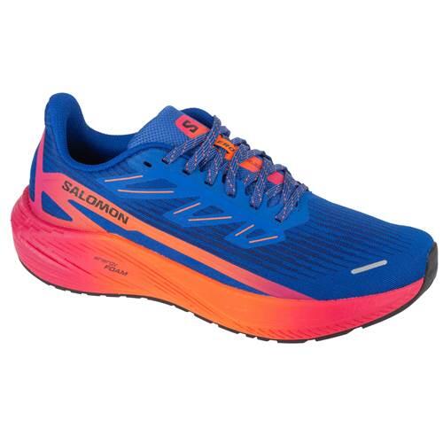SALOMON picture