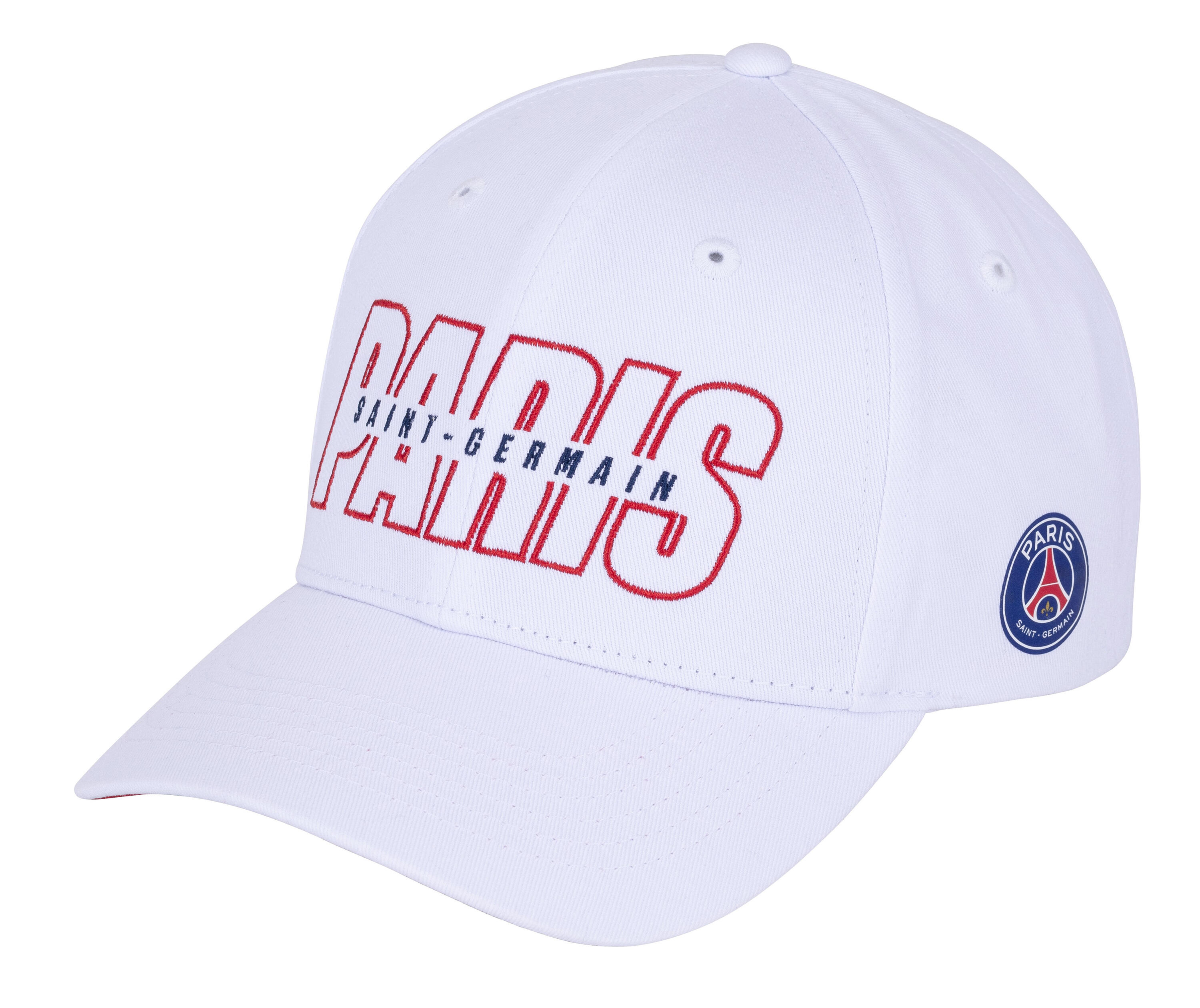 PARIS SAINT GERMAIN picture