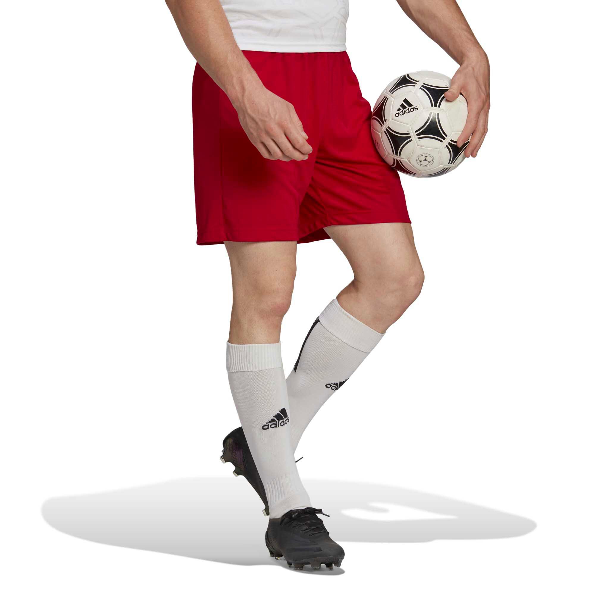 Adidas Sport Ent22 Sho Warmte Shorts Volwassenen 5/6