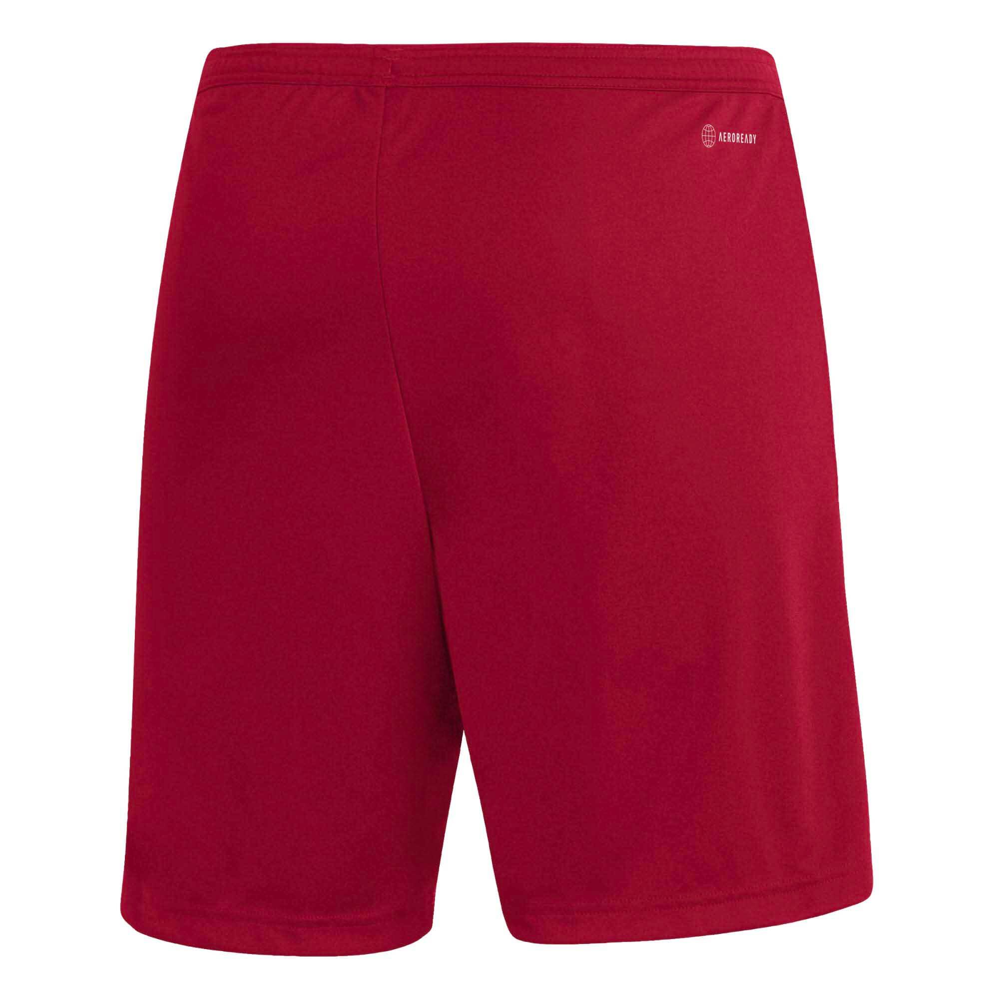 Adidas Sport Ent22 Sho Warmte Shorts Volwassenen 2/7