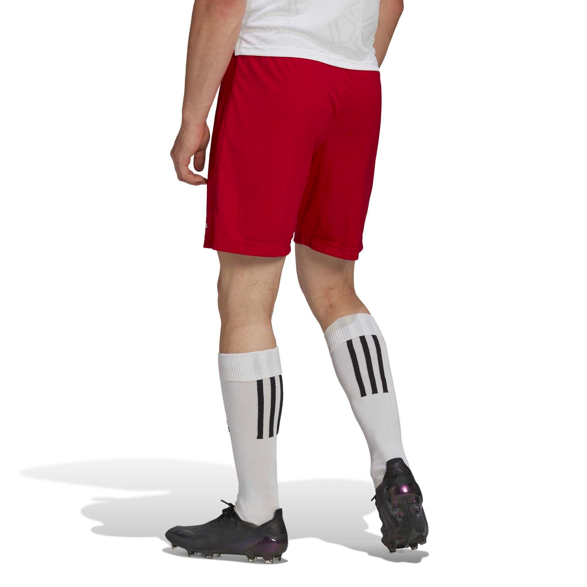 Adidas Sport Ent22 Sho Warmte Shorts Volwassenen 4/6