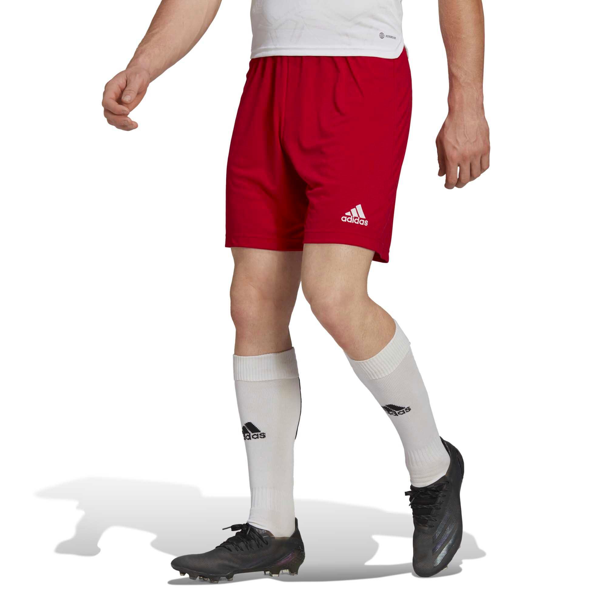 Adidas Sport Ent22 Sho Warmte Shorts Volwassenen 3/6