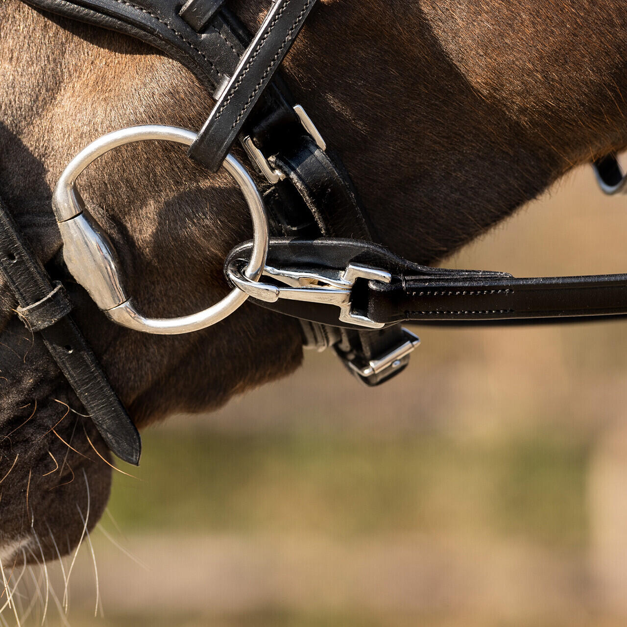 QHP Eén hand teugel - Zwart (Pony) 4/4