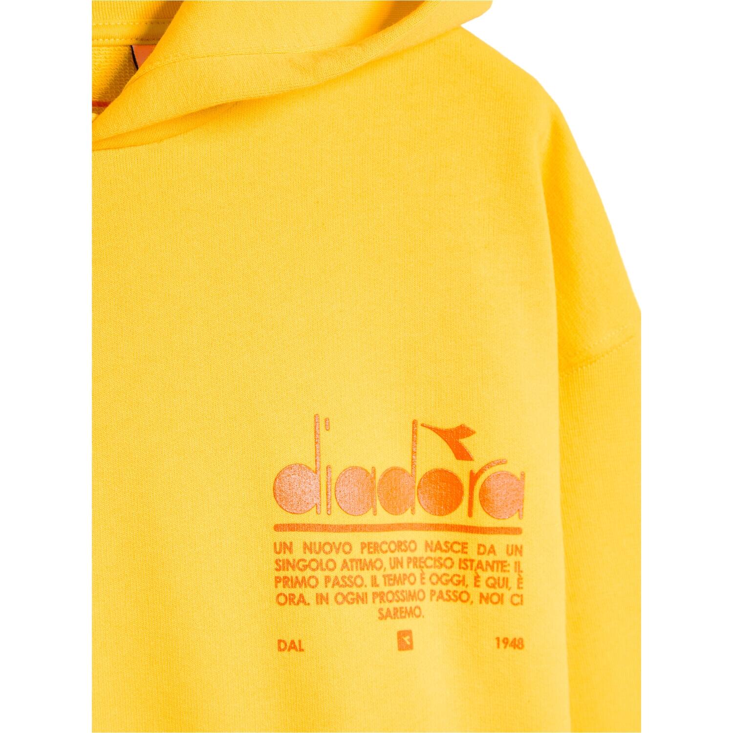 Bluza DIADORA HOODIE MANIFESTO 6/6