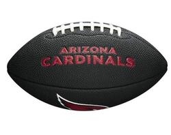 Mini Ballon de Football Américain Wilson des Green Bay Packers