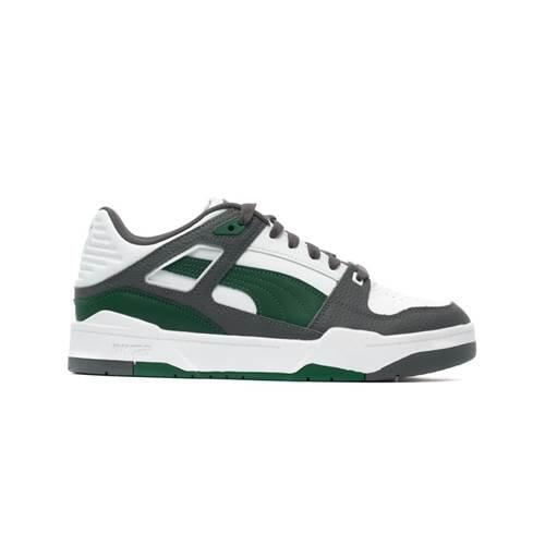 PUMA picture