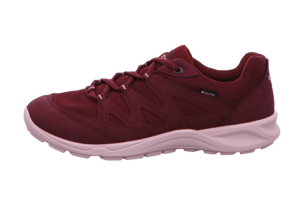 Buty do chodzenia damskie Ecco Terracruise Lt