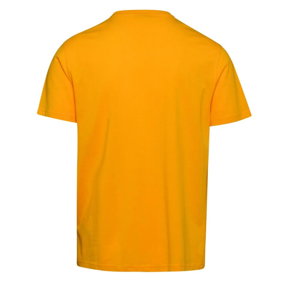 Koszulka męska DIADORA T-SHIRT SS BIG LOGO