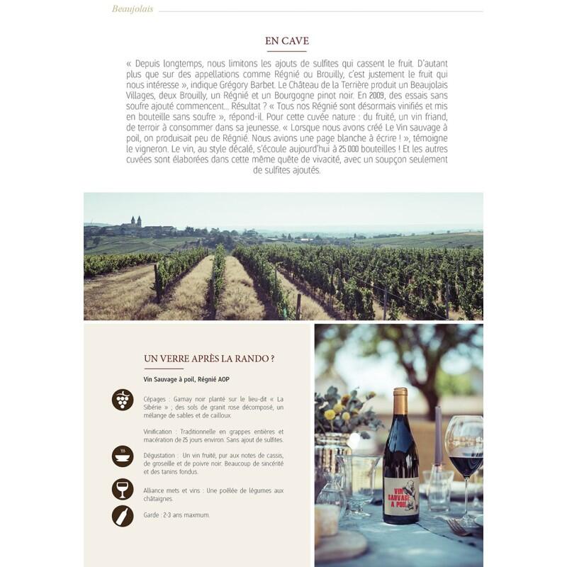 RANDO-VIN EN FRANCE BELLES BALADES & DOMAINES VITICOLES DE QUALITÉ 4/5