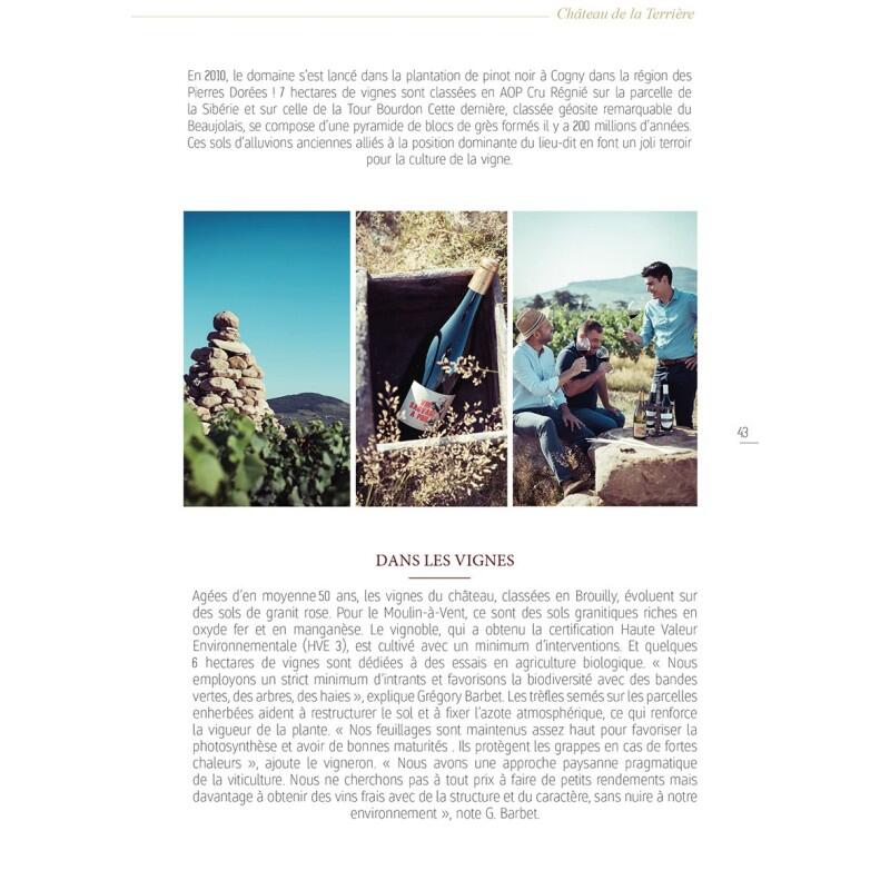 RANDO-VIN EN FRANCE BELLES BALADES & DOMAINES VITICOLES DE QUALITÉ 3/5