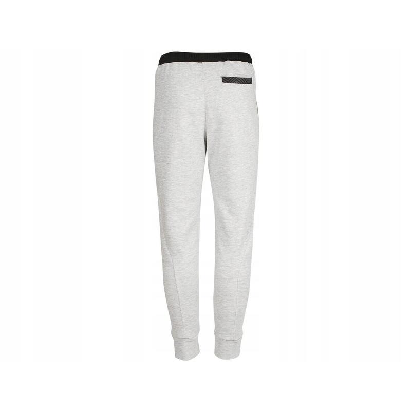 Spodnie męskie dresowe bawełniane szare Puma slim fit