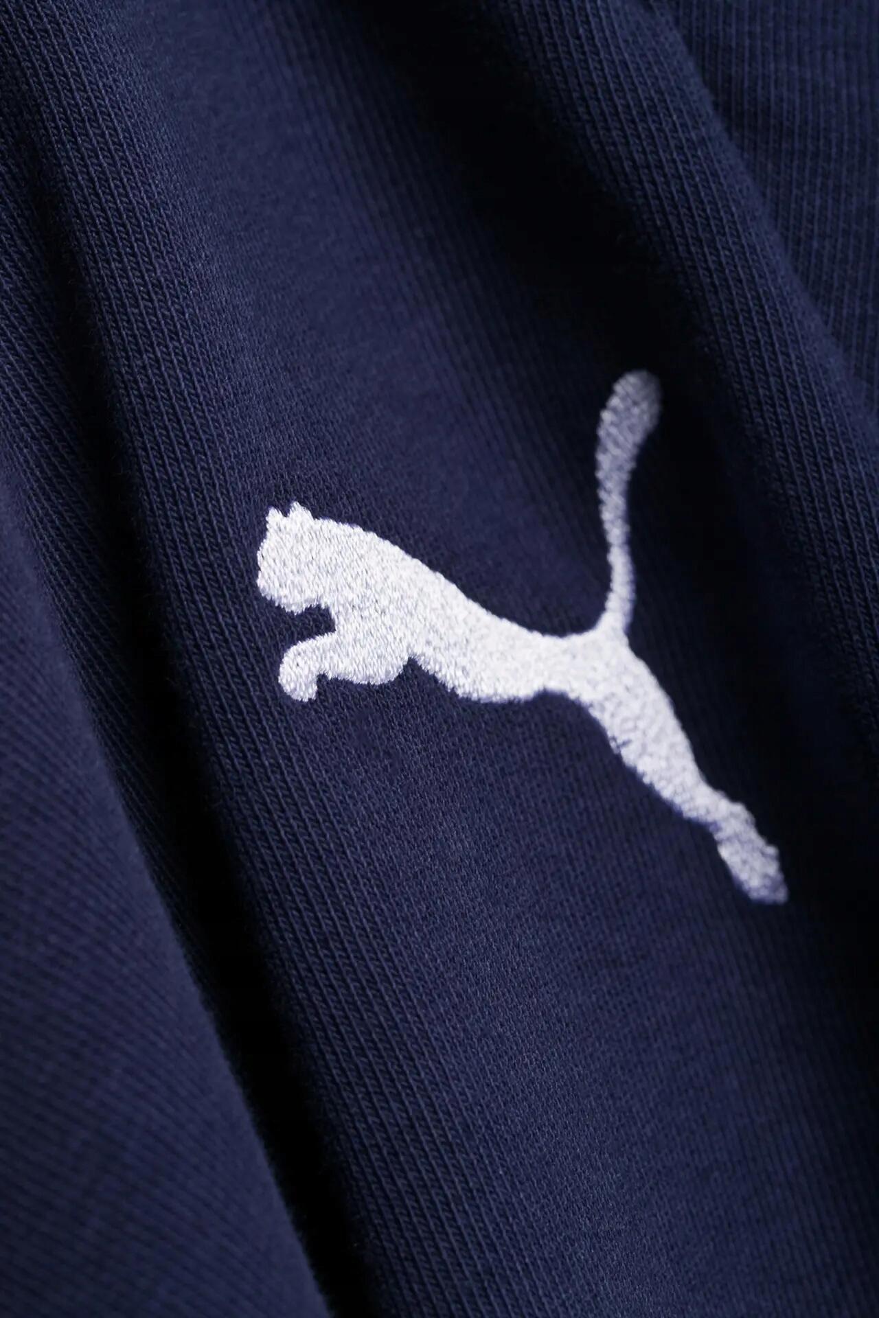 Spodnie męskie dresowe bawełniane Puma slim fit 6/6