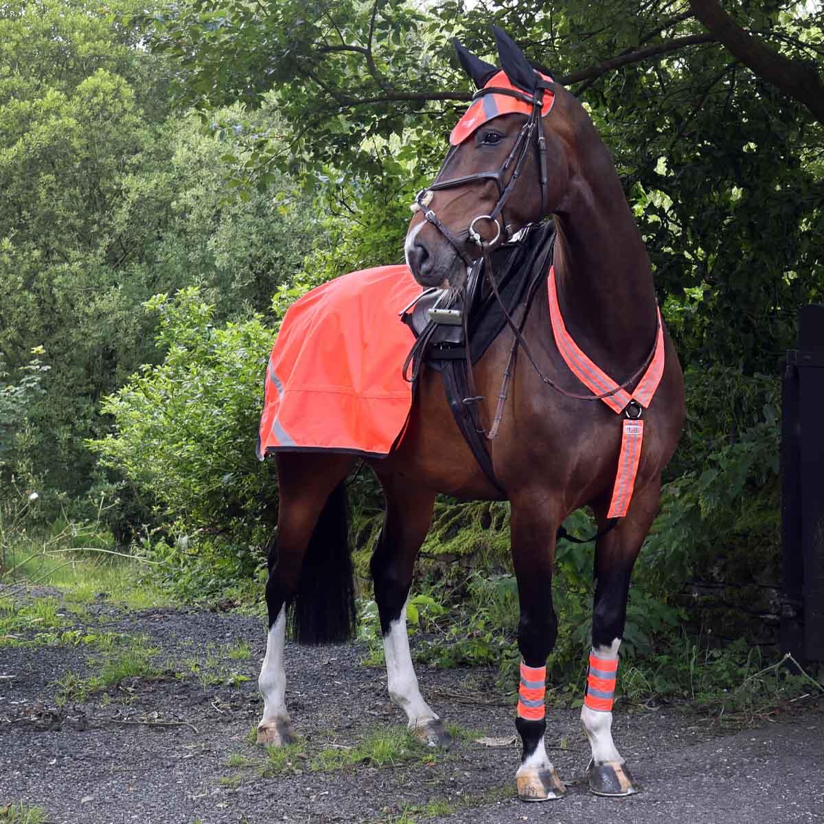 Hi-viz reflective 600D breastplate 3/5