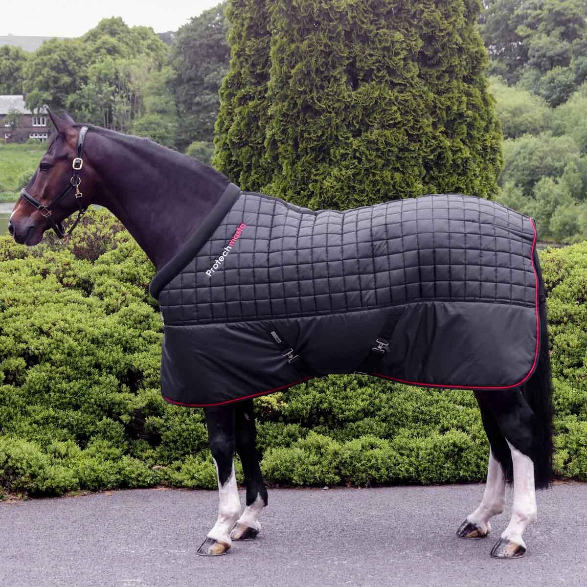 Comfortable breathable 200g stable rug 1/6