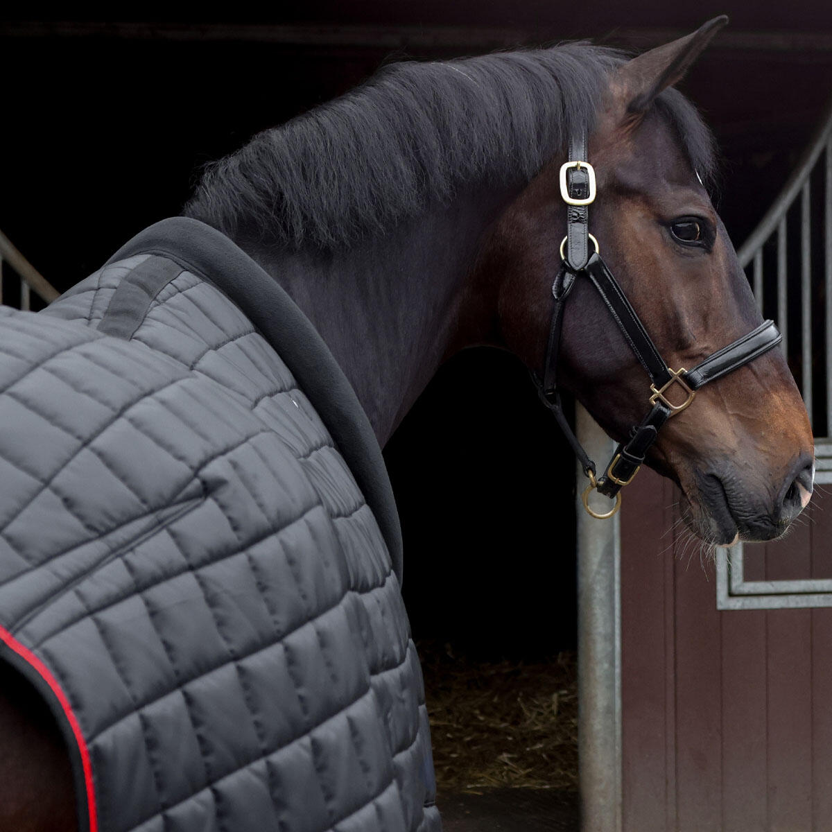 Comfortable breathable 200g stable rug 2/6