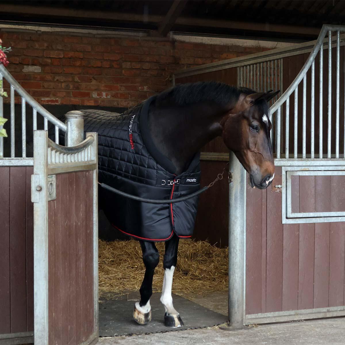 Comfortable breathable 200g stable rug 6/6