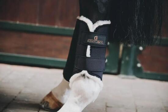 Hintere offene Pferdegamaschen Kentucky Solimbra