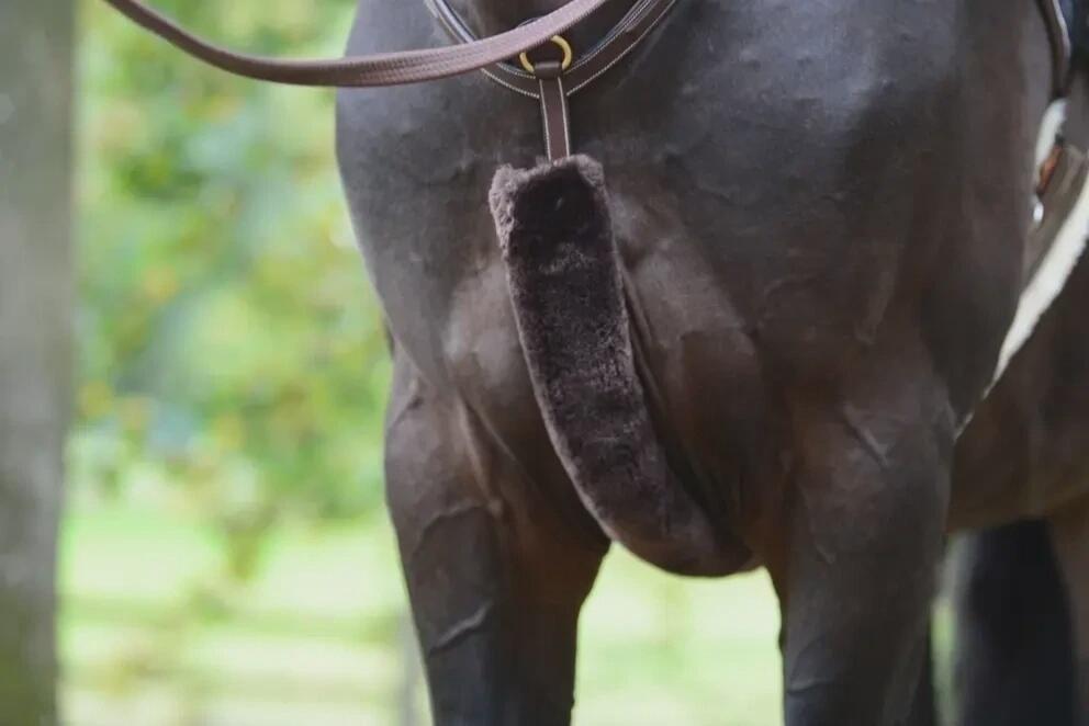 KENTUCKY HORSEWEAR Kentucky Jachtmartingaal Cover Bont Bruin