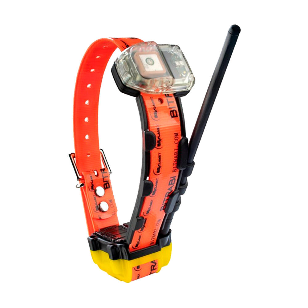 BITRABI Collar GPS + GSM + Radio para perros de caza MITO 5300 BITRABI