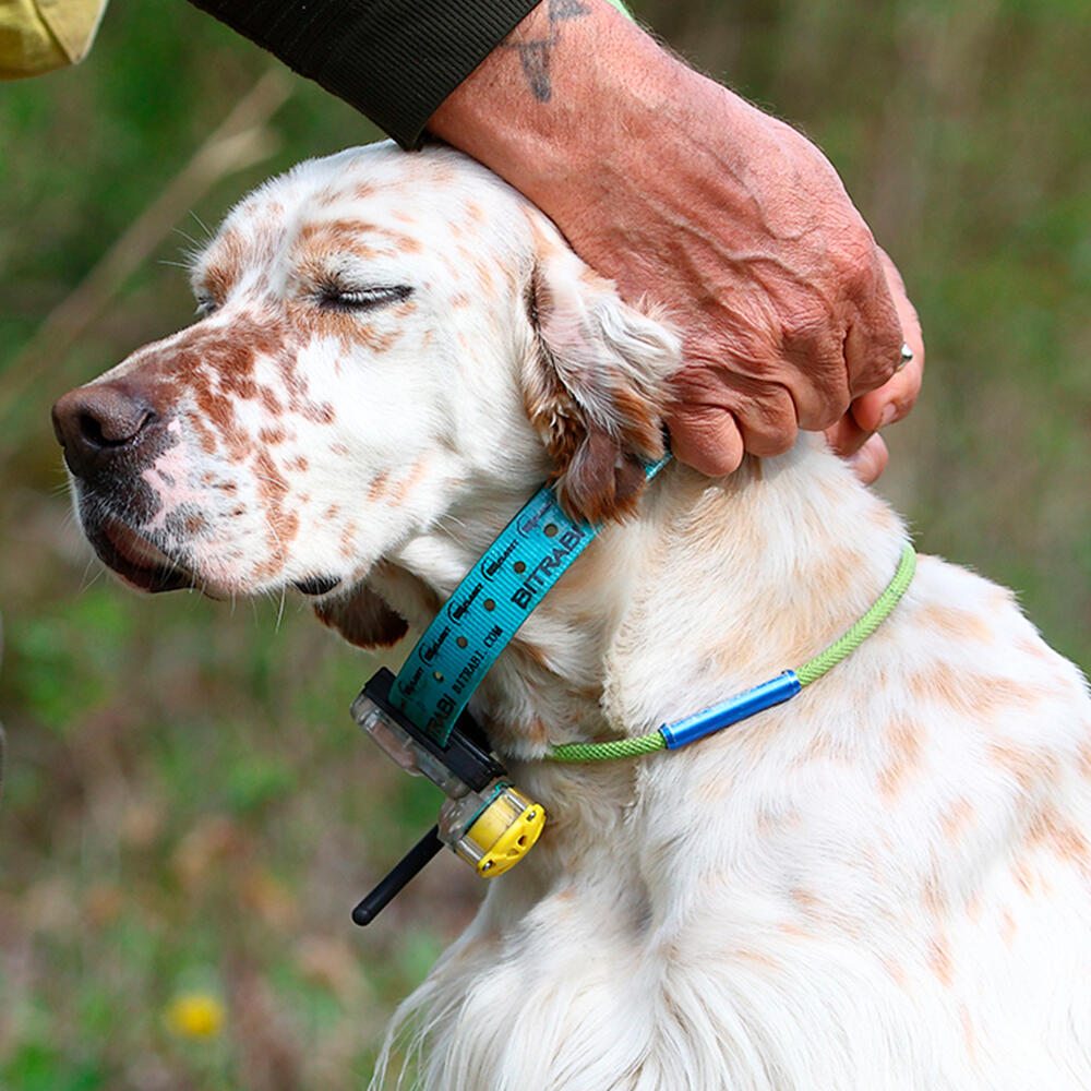 Coleira Rádio + GPS + Beeper para cães de caça MITO 5100 BITRABI 3/3