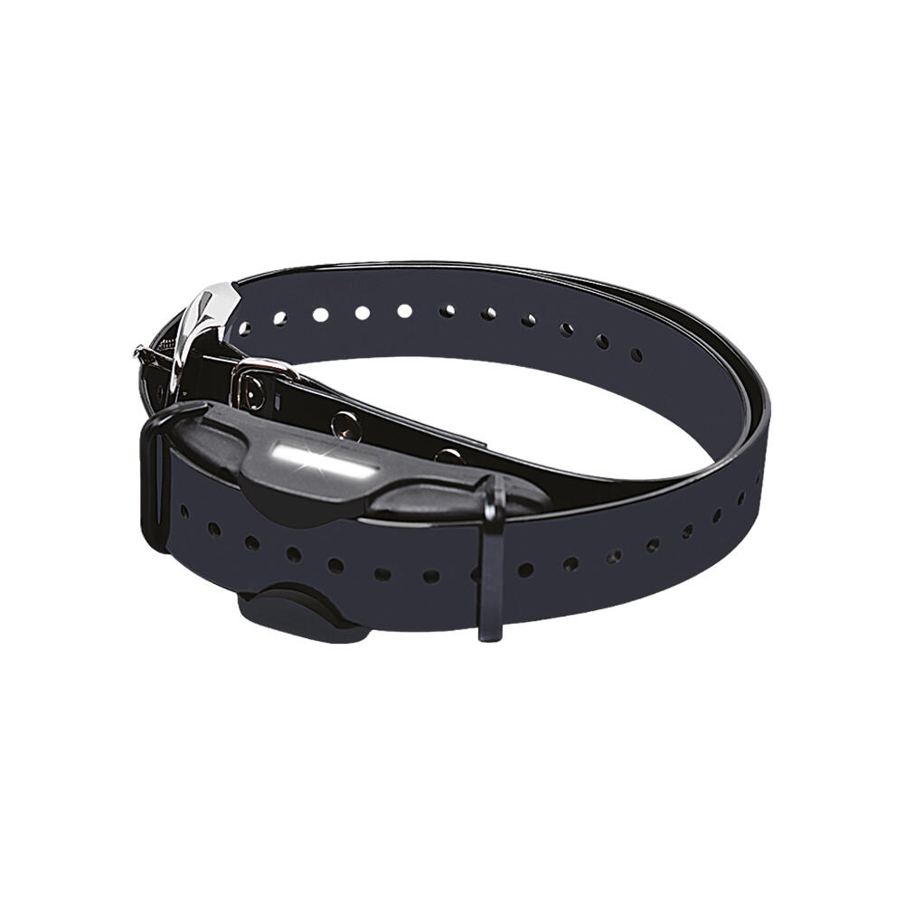BITRABI Coleira profissional para treino de cães Dresseur BITRABI