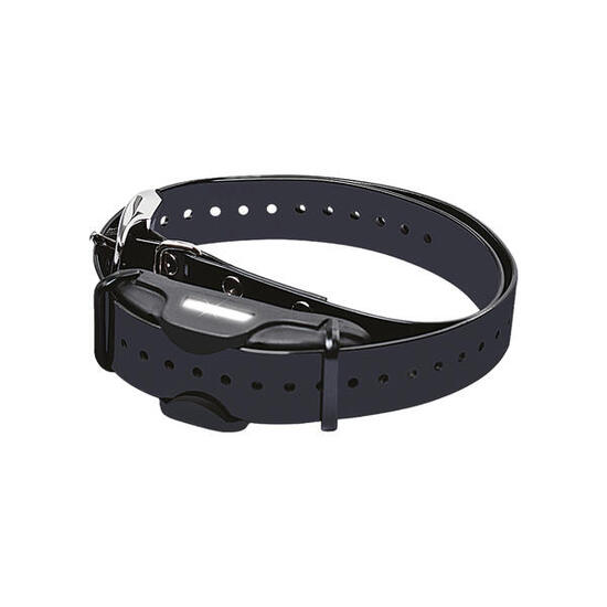 Collier professionnel pour chiens BITRABI dresseur