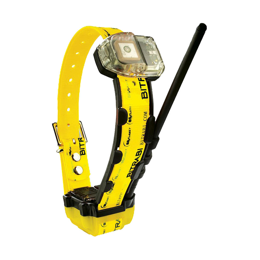 BITRABI Collar Radio + GPS para perros de caza MITO 5100 BITRABI