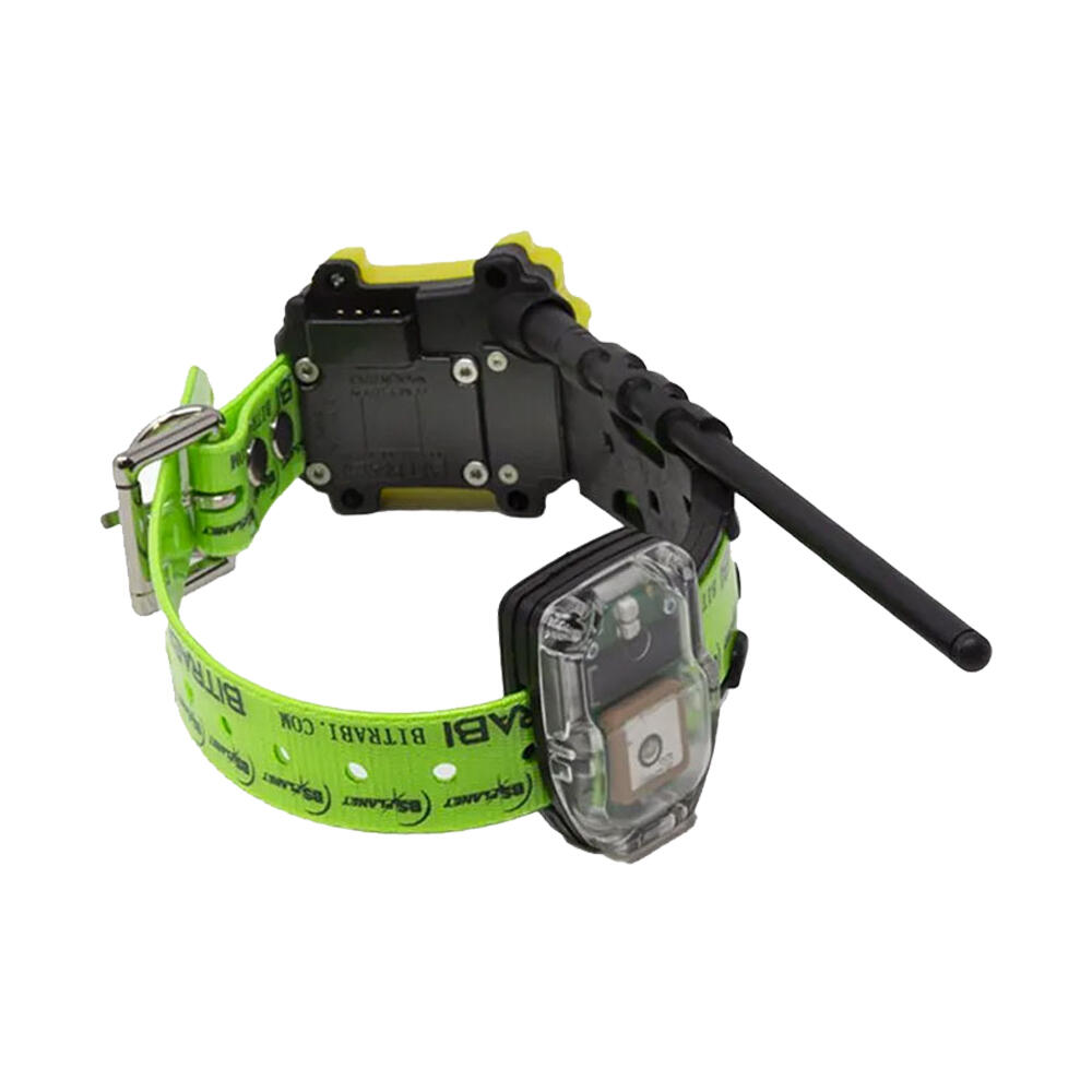 Coleira GSM para cães de caça MITO 5200 BITRABI 2/3