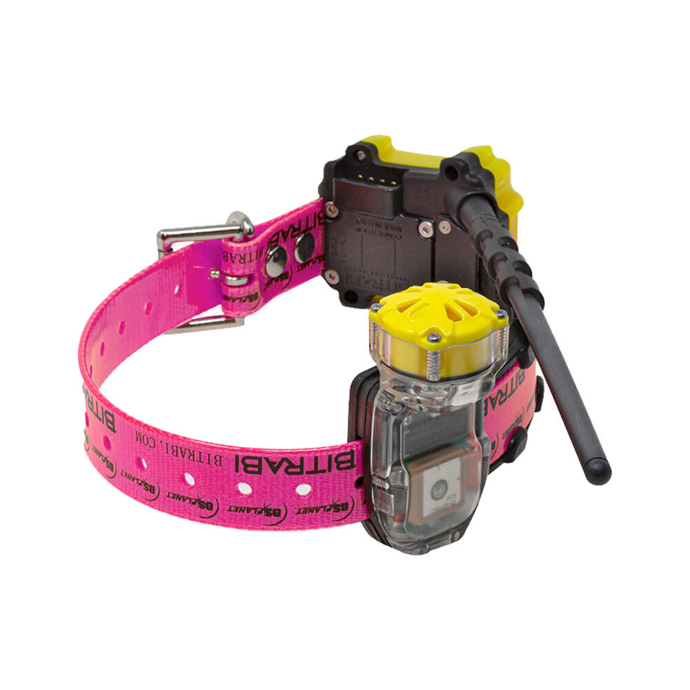 Coleira GPS Beeper para cães de caça MITO 5300 BITRABI 2/3