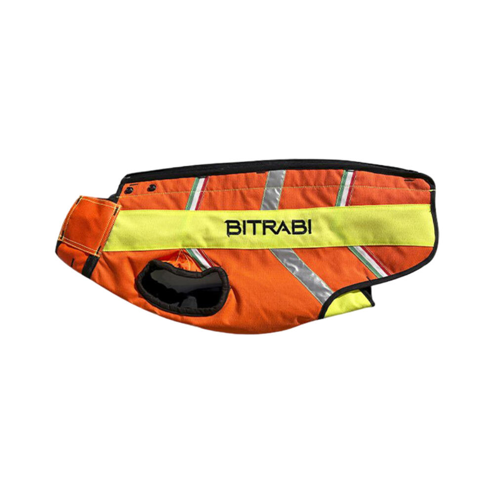 BITRABI picture