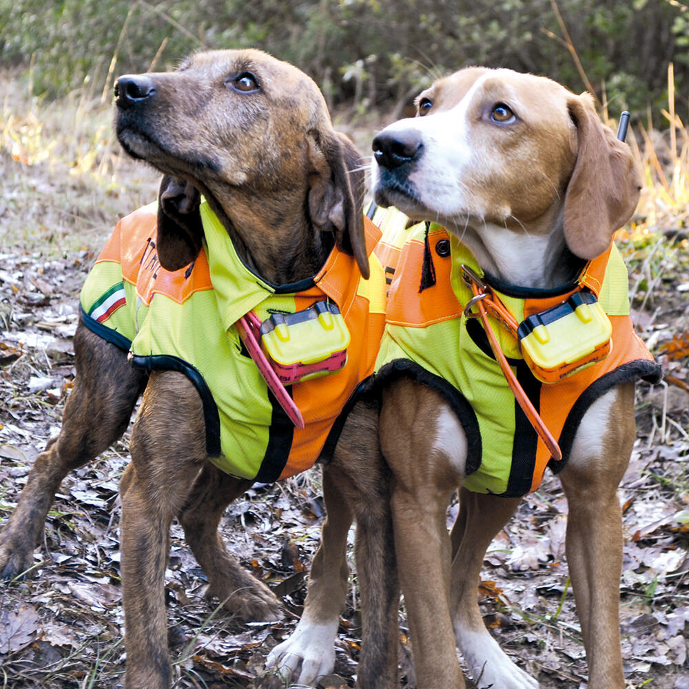 Colete de proteção para cães Sicur Dog BITRABI 4/4