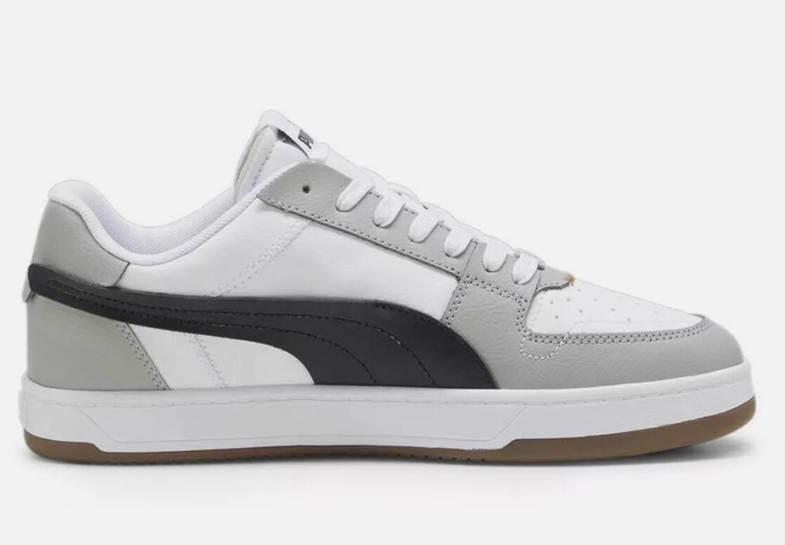 PUMA picture
