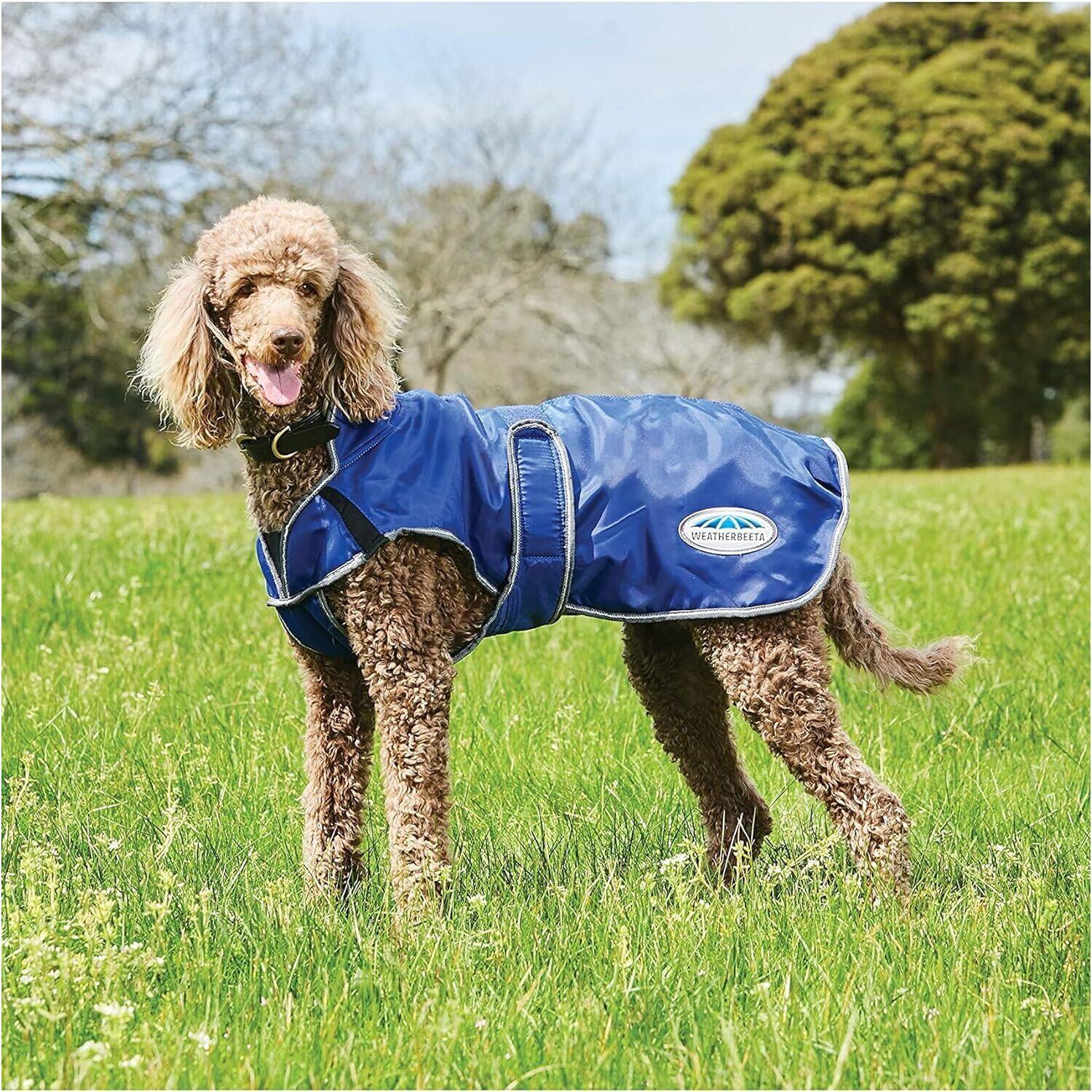 Hundemantel Weatherbeeta ComFiTec Windbreaker Free Deluxe 1/1