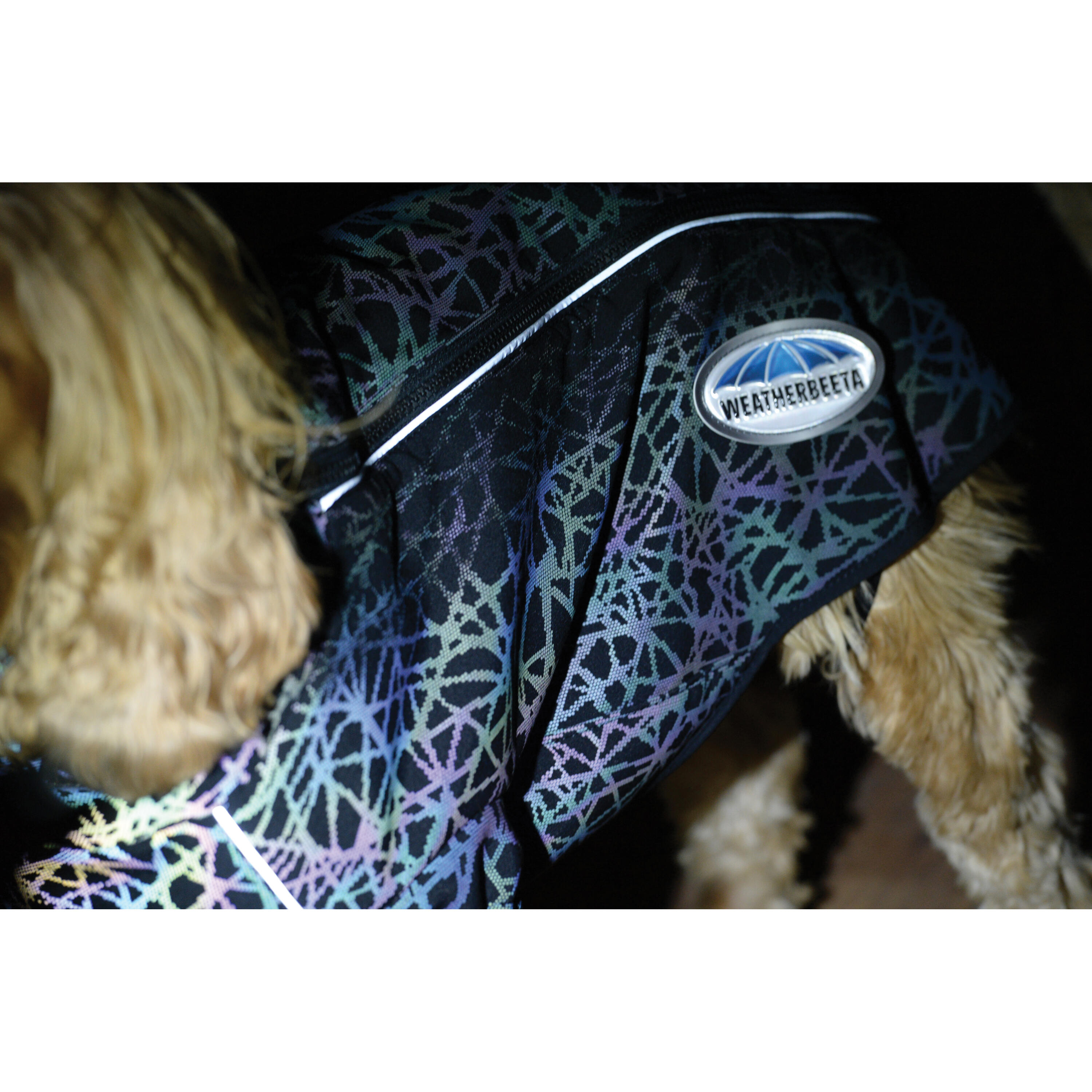 Hundemantel reflektierender Druck aktiv Weatherbeeta Comfitec 2/4