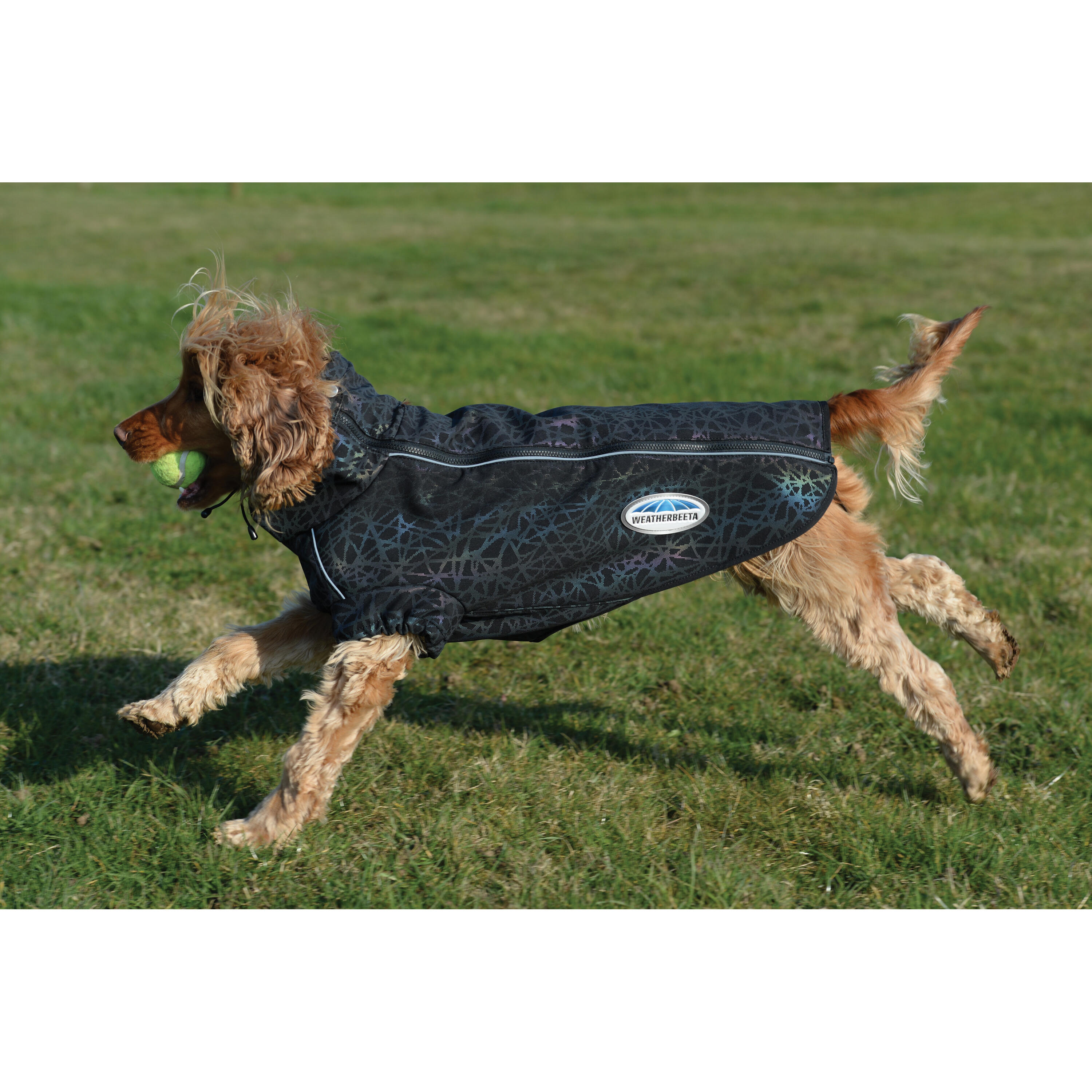 Hundemantel reflektierender Druck aktiv Weatherbeeta Comfitec 3/4